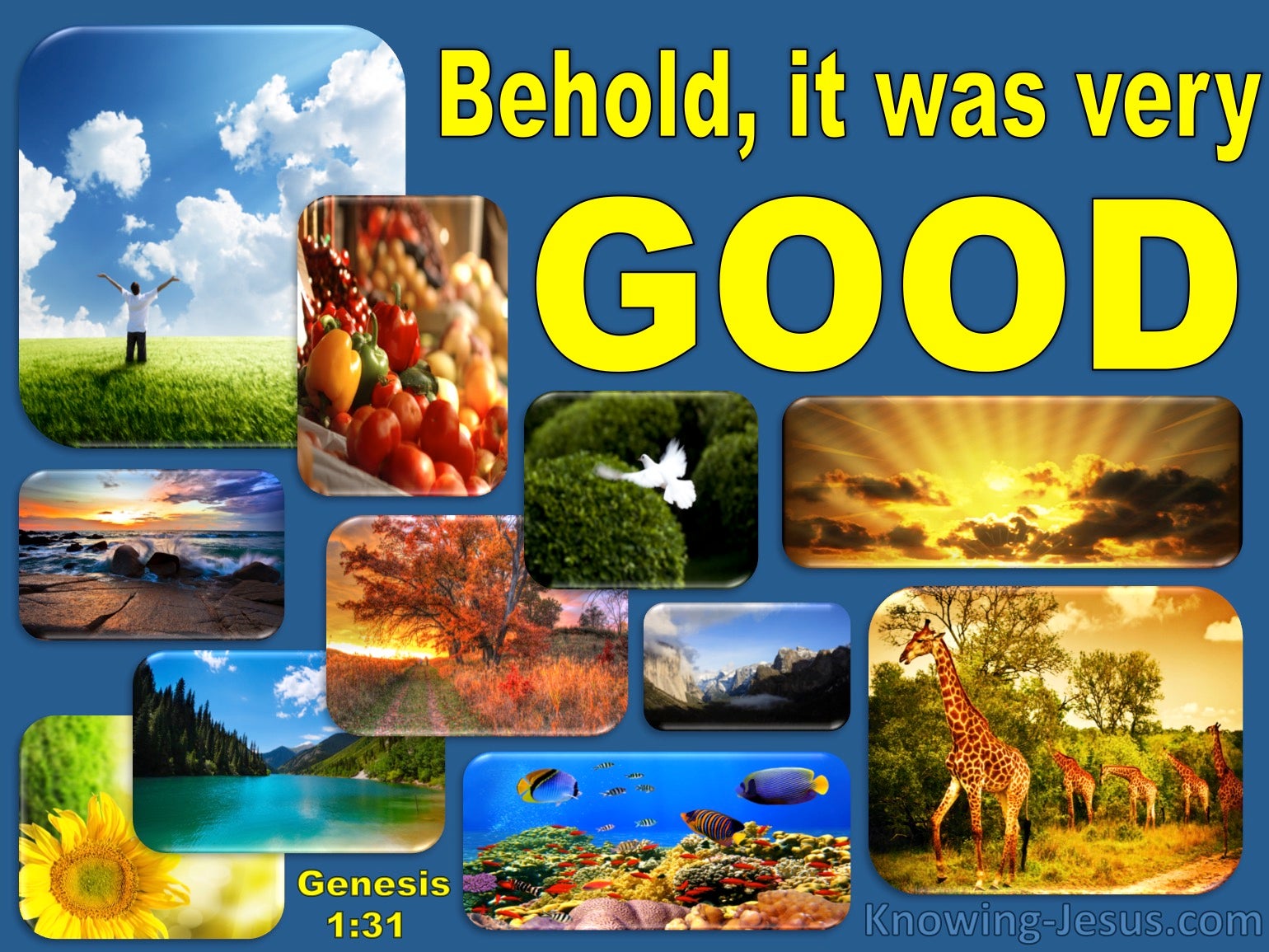 points-to-ponder-in-genesis-1-2-moses-2-3-and-abraham-4-5-latter