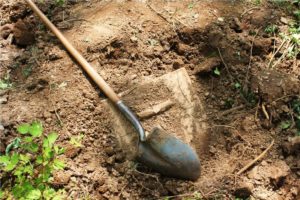 Shovel with buried treasure